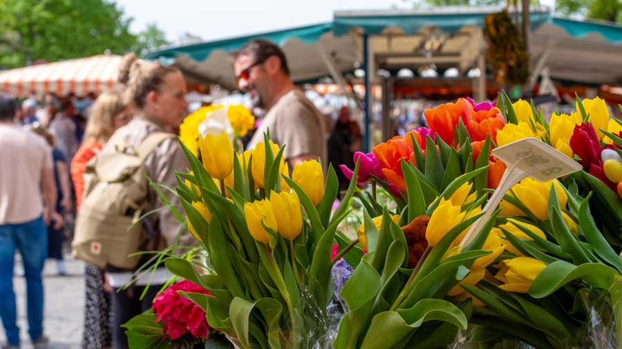 Bunte Tulpensträuße in Vasen auf einem Wochenmarktstand mit Menschen im Hintergrund auf dem Schloßplatz